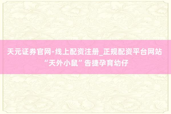 天元证券官网-线上配资注册_正规配资平台网站 “天外小鼠”告捷孕育幼仔