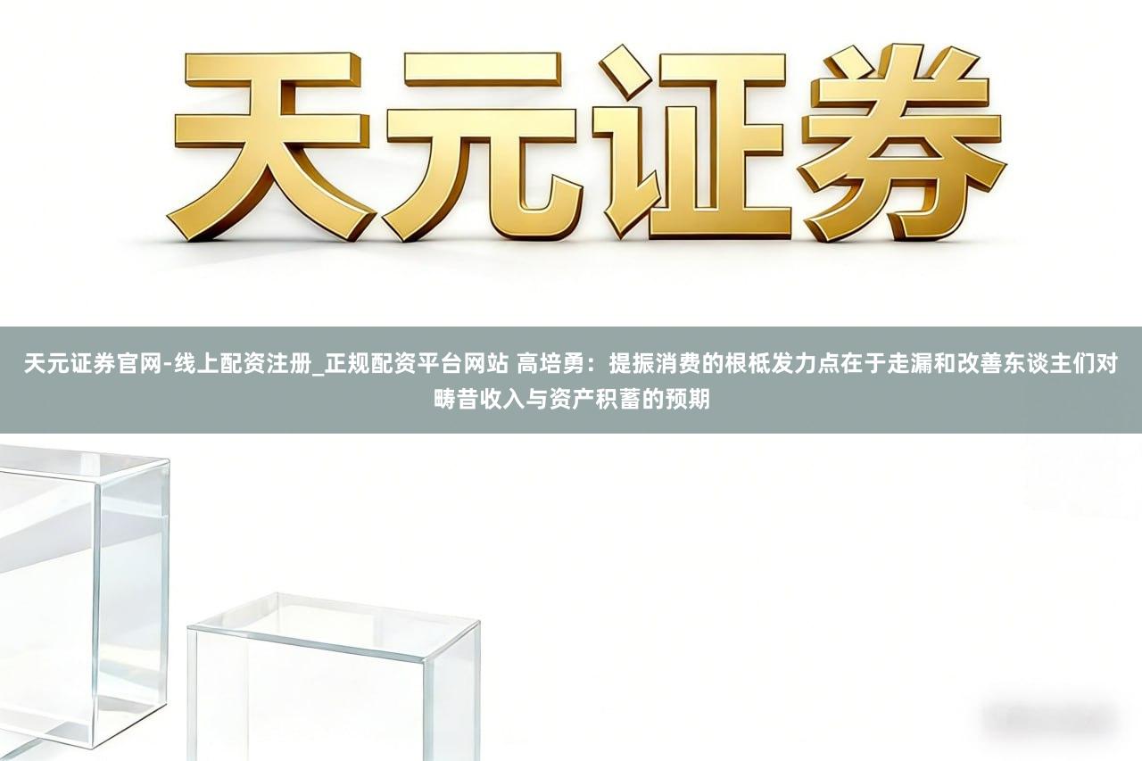 天元证券官网-线上配资注册_正规配资平台网站 高培勇：提振消费的根柢发力点在于走漏和改善东谈主们对畴昔收入与资产积蓄的预期